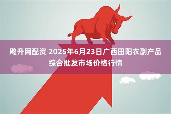 飚升网配资 2025年6月23日广西田阳农副产品综合批发市场价格行情
