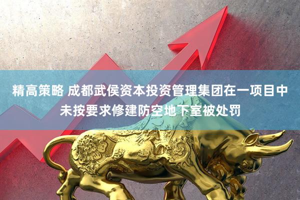 精高策略 成都武侯资本投资管理集团在一项目中未按要求修建防空地下室被处罚
